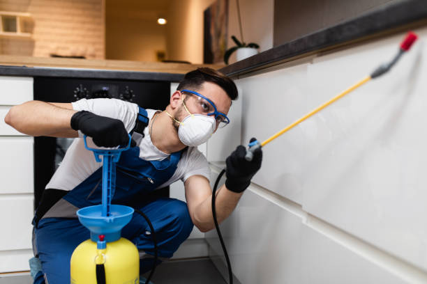 Best Commercial Pest Control Services  in Newport, OH