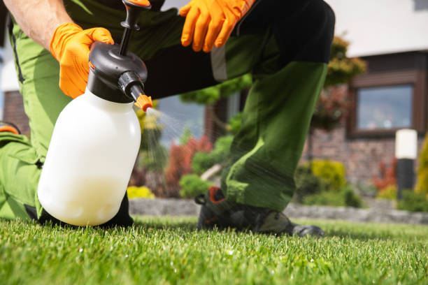 Best Mosquito Control Services  in Newport, OH