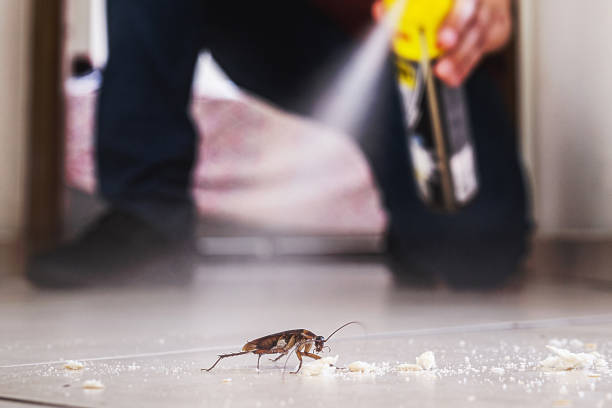 Wildlife Control Services in Newport, OH